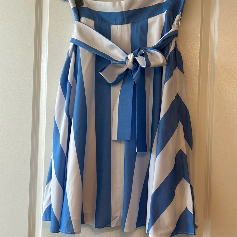 NWT Ann Taylor skirt